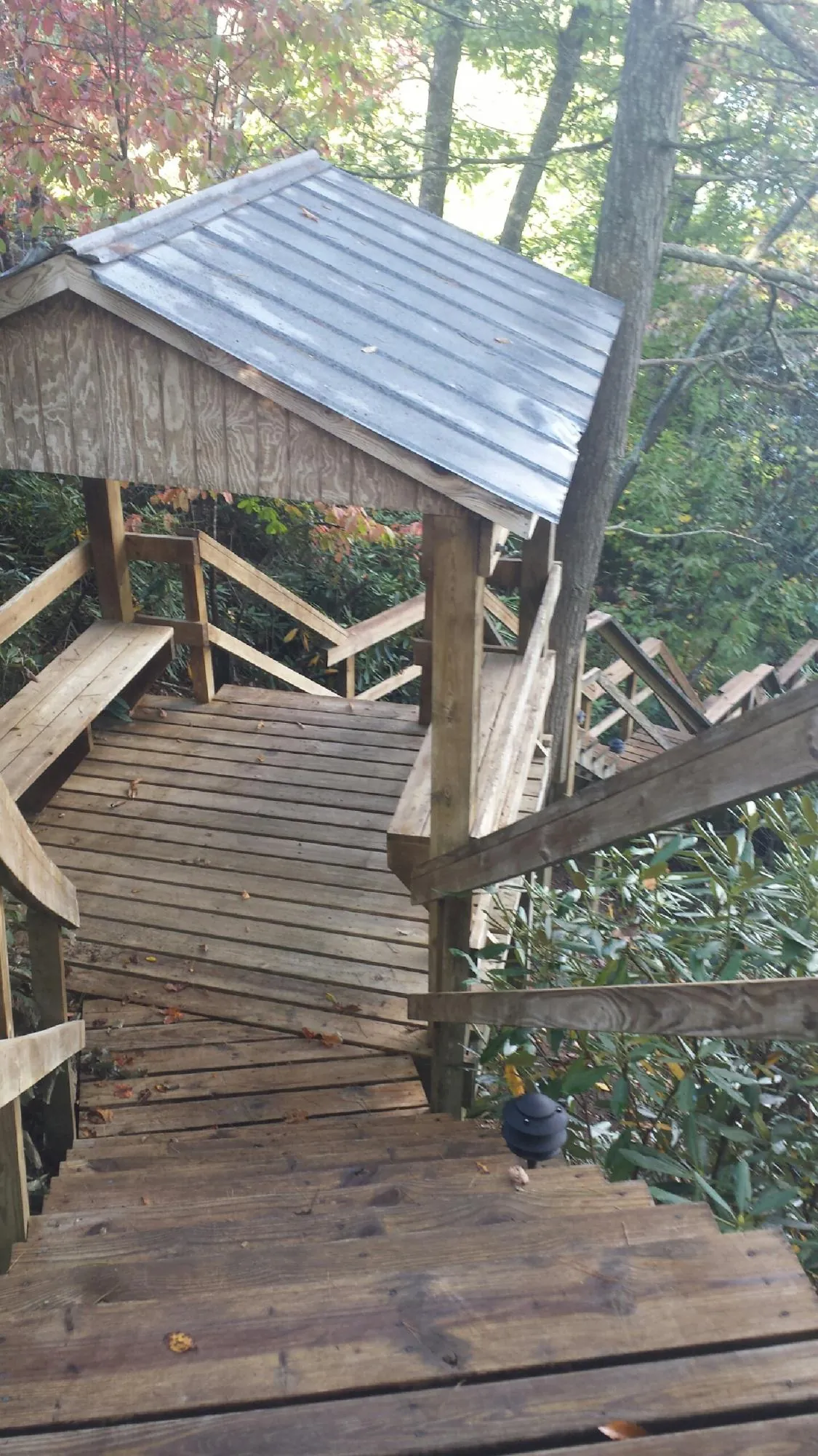 Metal roofed shelter over wooden steps on a wooded walkway — Skylight Repair & Installation work by our crew in Lolita
